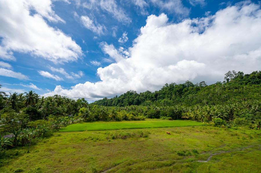 Anibesh Hotel Havelock Island Kültér fotó